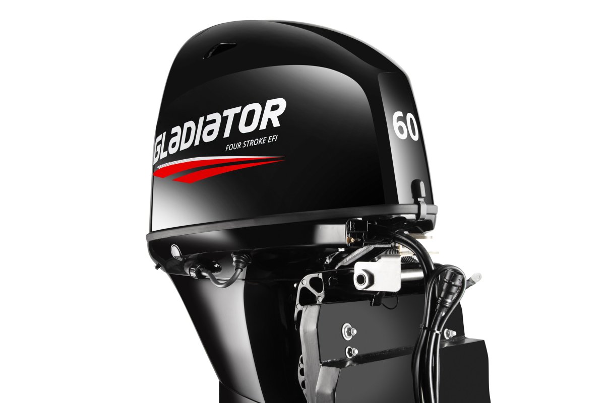 Gladiator GEF60FVEL-T